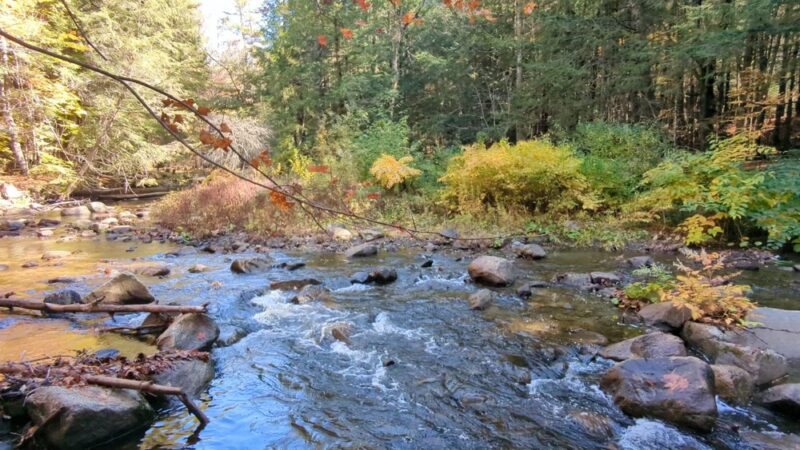 Mink Brook Nature Preserve - Hanover, NH