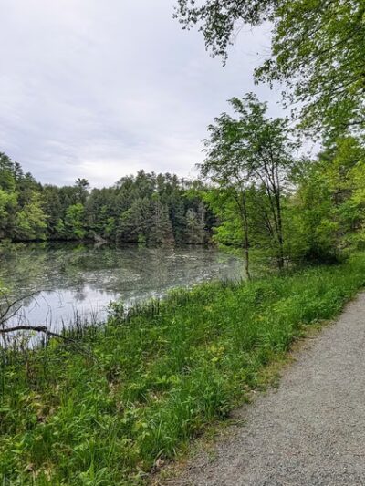 Mink Brook Nature Preserve - Hanover, NH