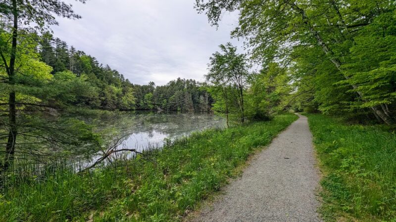 Mink Brook Nature Preserve - Hanover, NH