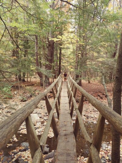 Mink Brook Nature Preserve - Hanover, NH