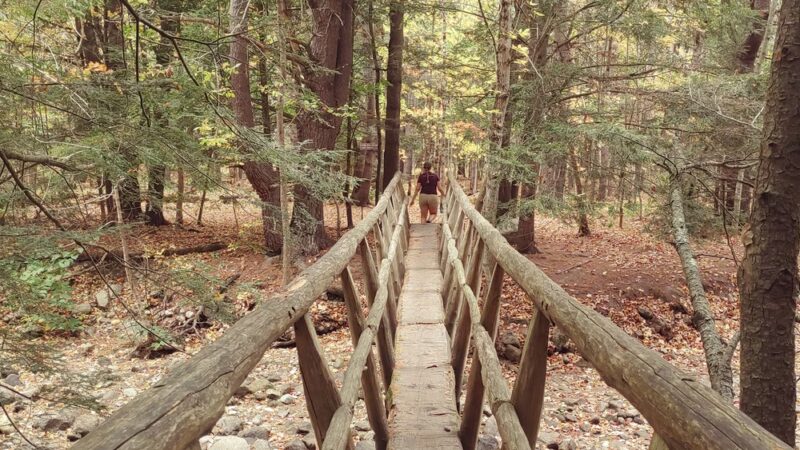 Mink Brook Nature Preserve - Hanover, NH