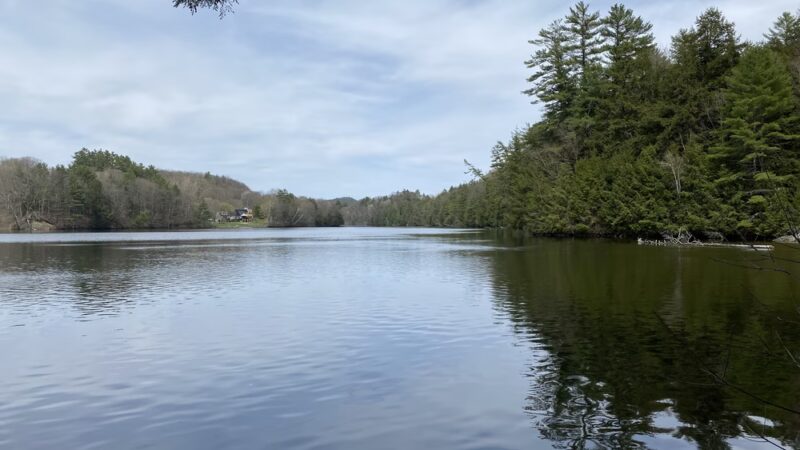 Pine Park - Hanover, NH