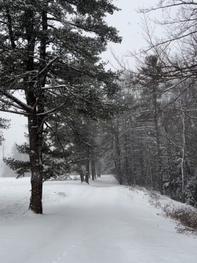Pine Park - Hanover, NH