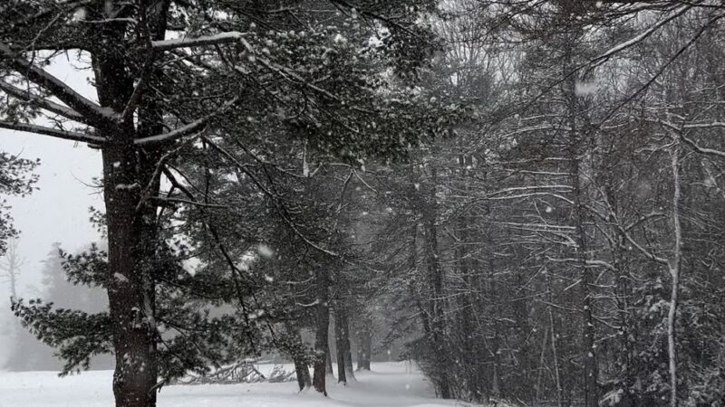 Pine Park - Hanover, NH