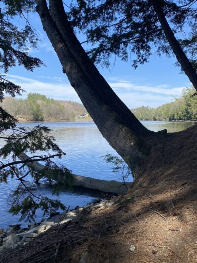 Pine Park - Hanover, NH