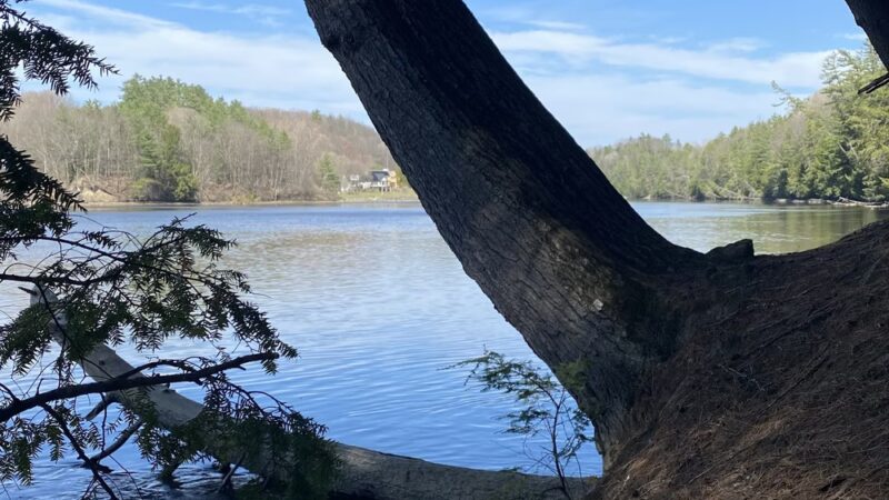 Pine Park - Hanover, NH