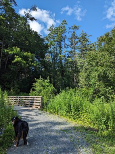 Pine Park - Hanover, NH