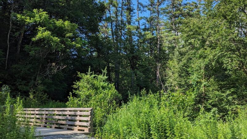 Pine Park - Hanover, NH