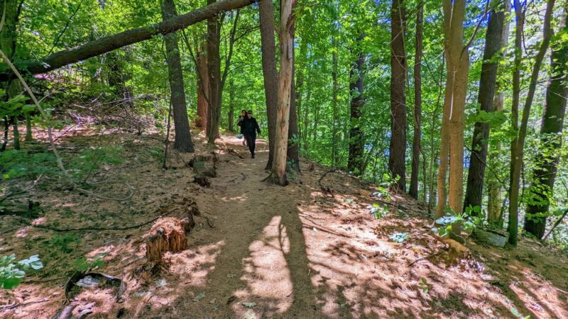 South Esker Trail - Hanover, NH