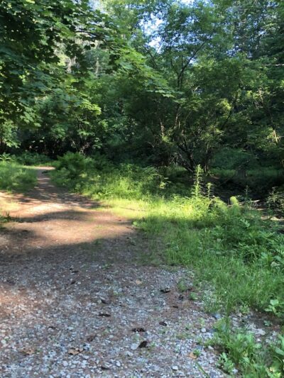 Girl Brook Trails - Hanover, NH