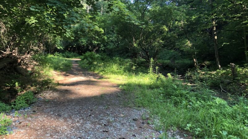 Girl Brook Trails - Hanover, NH