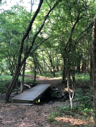 Girl Brook Trails - Hanover, NH