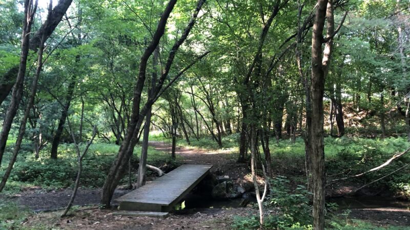 Girl Brook Trails - Hanover, NH