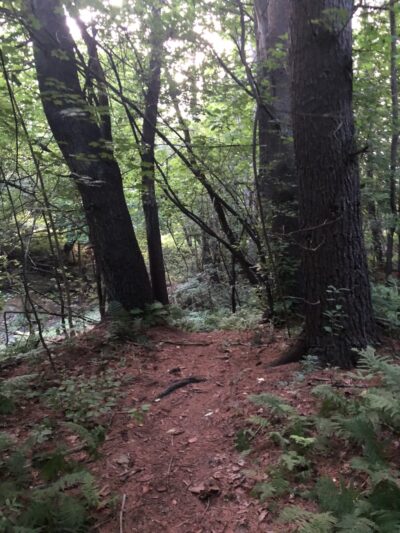 Girl Brook Trails - Hanover, NH