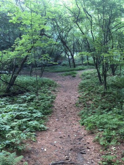Girl Brook Trails - Hanover, NH