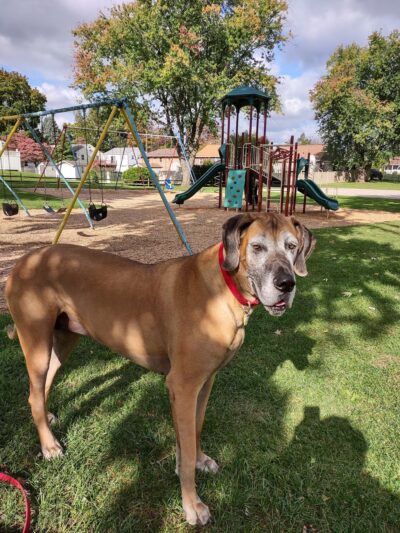 DeGuy Avenue Playground - Hanover, PA