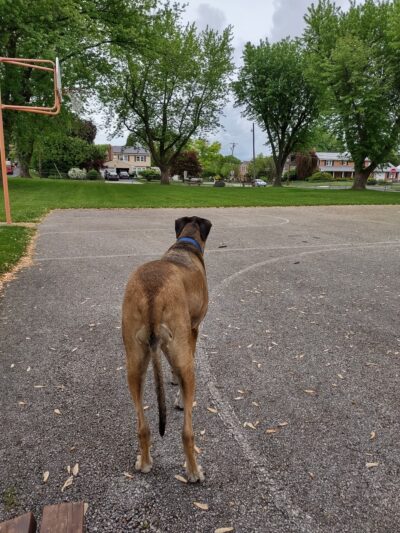 DeGuy Avenue Playground - Hanover, PA