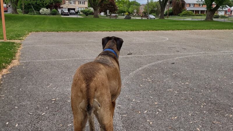 DeGuy Avenue Playground - Hanover, PA