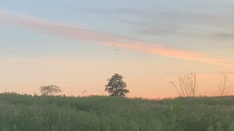 West Manheim Township Recreation Park - Hanover, PA