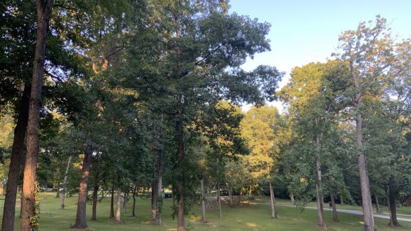 Youngs Woods Community Park - Hanover, PA