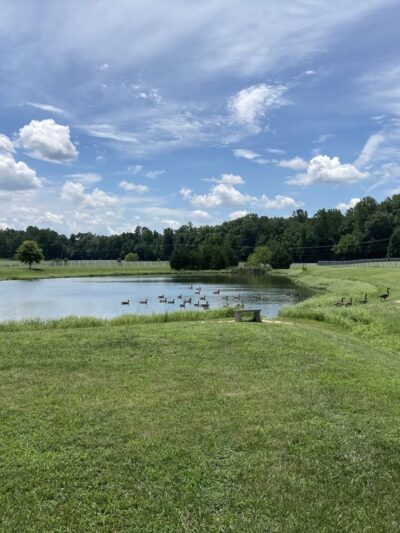 Courthouse Park - Hanover, VA