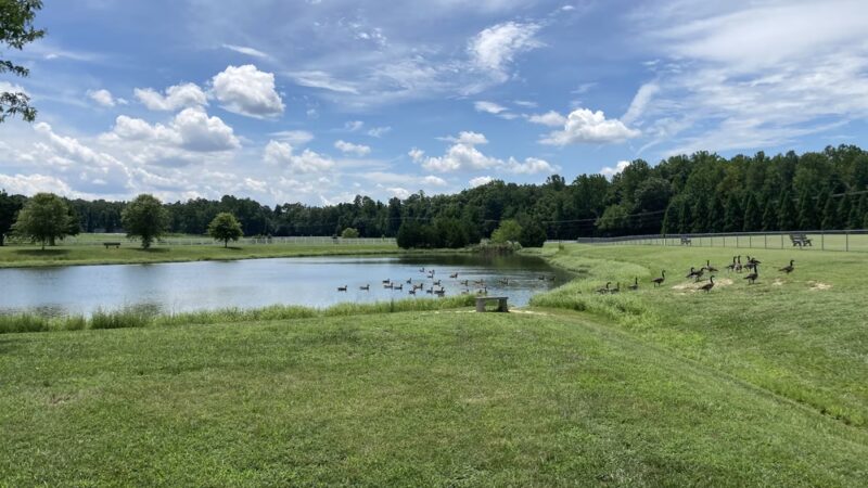 Courthouse Park - Hanover, VA
