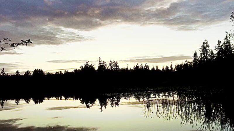 Buck Lake County Park - Hansville, WA