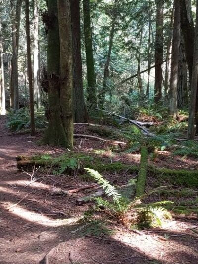 Hansville Greenway - Hansville, WA