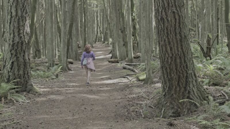Hansville Greenway - Hansville, WA