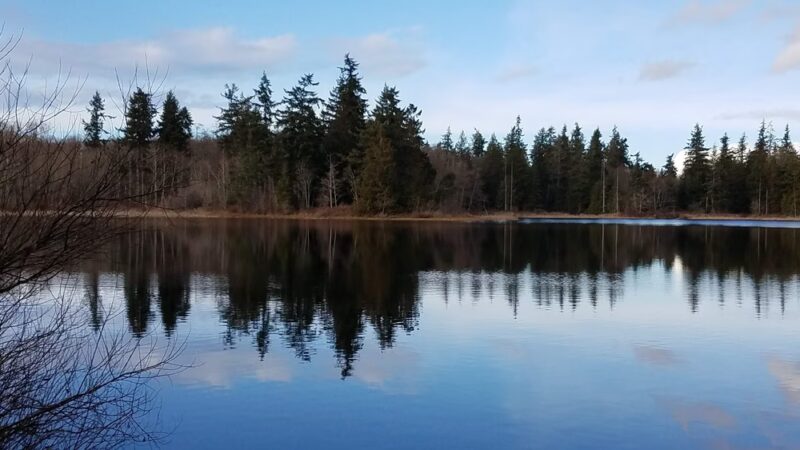 Hansville Greenway - Hansville, WA