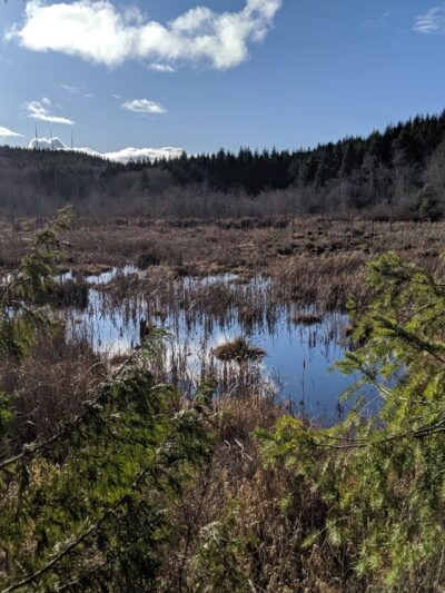 Hansville Greenway - Hansville, WA
