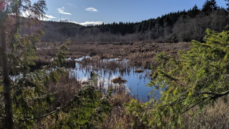 Hansville Greenway - Hansville, WA