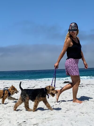 Happy Dog Carmel - ,