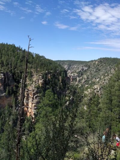 West Clear Creek Wilderness - Happy Jack, AZ