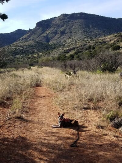 West Clear Creek Wilderness - Happy Jack, AZ