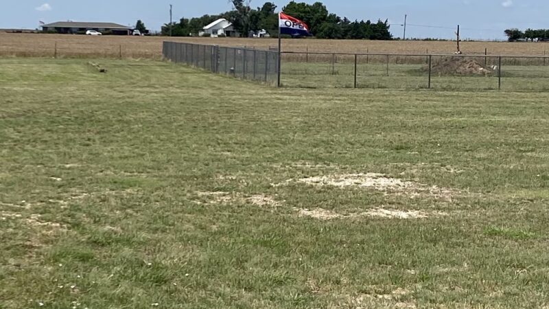 Happy Dog Park - Happy, TX