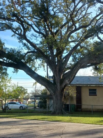 Royland Playground - Harahan, LA