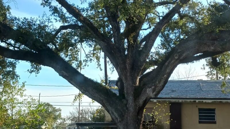 Royland Playground - Harahan, LA