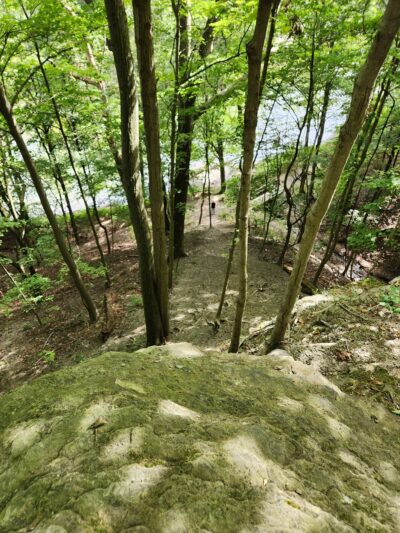 Connoquenessing Creek Nature Reserve Trail Head - Harmony, PA