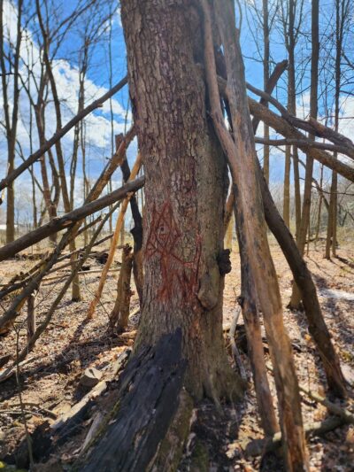 Connoquenessing Creek Nature Reserve Trail Head - Harmony, PA