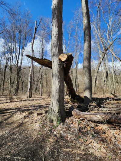 Connoquenessing Creek Nature Reserve Trail Head - Harmony, PA