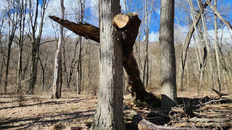 Connoquenessing Creek Nature Reserve Trail Head - Harmony, PA