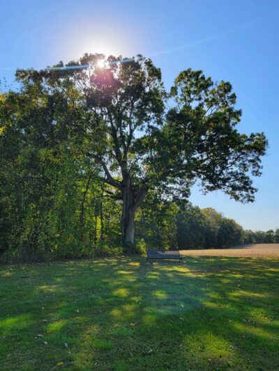 Four Springs Park - Harmony, PA