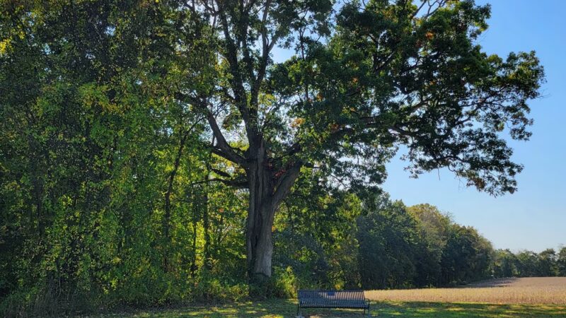 Four Springs Park - Harmony, PA
