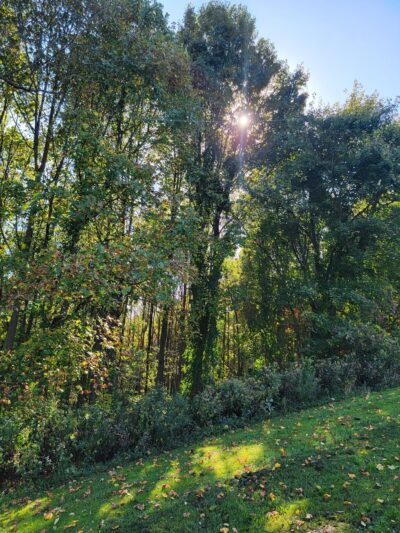 Four Springs Park - Harmony, PA