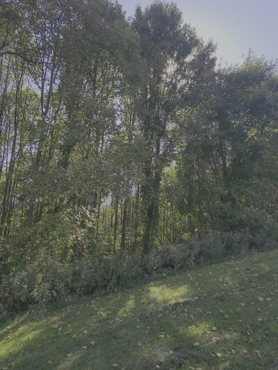 Four Springs Park - Harmony, PA