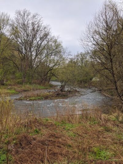 Porter Cove Natural Area - Harmony, PA