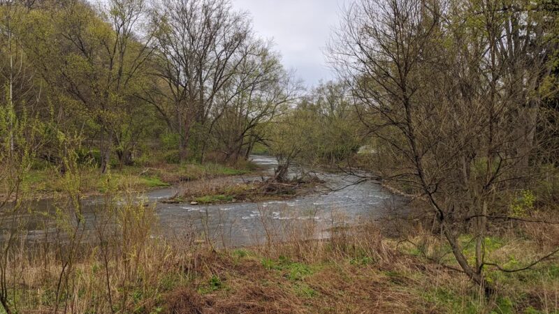 Porter Cove Natural Area - Harmony, PA