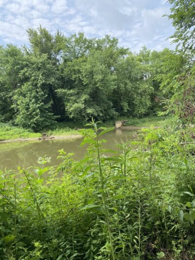 Porter Cove Natural Area - Harmony, PA
