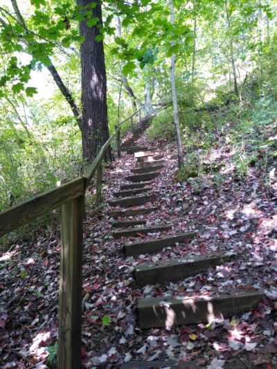 Trail to Rapp's Seat - Harmony, PA